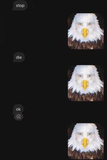 a screenshot of a text message with a bald eagle face