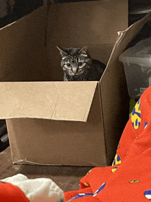 a cat is sitting in a cardboard box looking out