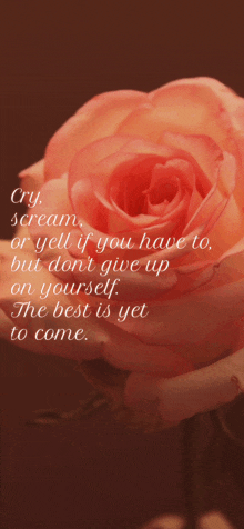 a rose with a quote on it that says cry scream or yell if you have to but do n't give up on yourself