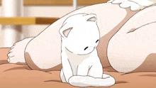 a white cat is sitting on a bed next to a person 's legs .