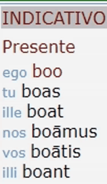 a sign that says indicativo presente ego boo tu boas ille boat nos boamus vos boatis illi boant