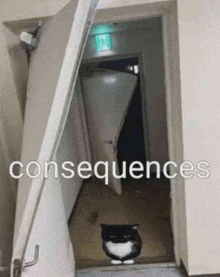 a black and white cat is standing in a doorway with the words consequences written above it .