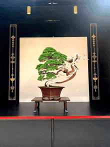 a bonsai tree is displayed on a table in front of a painting