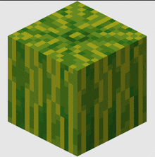 a green and yellow block with a striped pattern