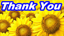 a bunch of yellow flowers with the words thank you written above them