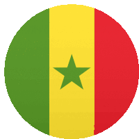 a green yellow and red flag with a star in the middle