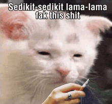 a picture of a cat smoking a cigarette with a caption that says sedikit-sedikit lama-lama fak this shit