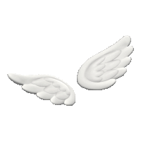 a pair of white angel wings are against a white background