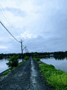 a gravel road going to a body of water