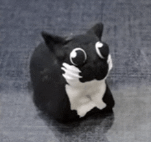 a black and white cat with big eyes is sitting on the floor