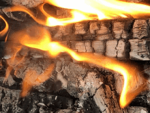 a close up of a fire burning in a log