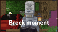 a screenshot of a minecraft game with the words breck moment on the bottom