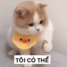 a brown and white cat wearing a yellow duck bib is sitting on a bed .