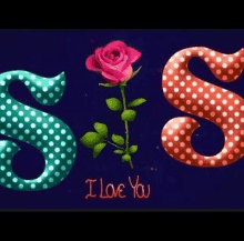 the letters s and s are polka dot and have a rose in the middle .