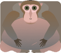 a monkey with green eyes is sitting down with its hands on its belly