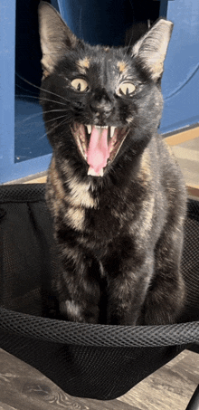 a cat with its mouth open and its tongue sticking out