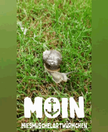 a snail is crawling in the grass with the word moin written on the bottom