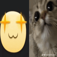 a picture of a cat next to a picture of a smiley face with the number 3 on it