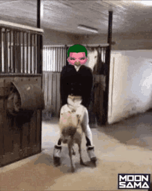 a man is riding on the back of a goat in a stable .