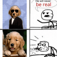 a picture of a dog with sunglasses and a picture of a man with a speech bubble saying he will never be real