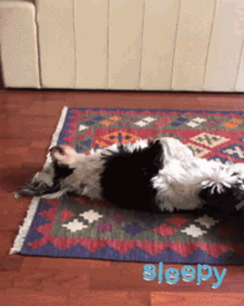 a black and white dog is laying on its back on a rug with the word sleepy written below it