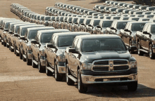 a row of dodge rams are parked in a parking lot