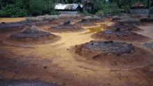 a dirt field with a few trees in the background