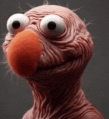 a close up of a hairless elmo from sesame street with big eyes and a red nose .