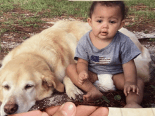 a baby is sitting next to a dog wearing a shirt with an american flag on it