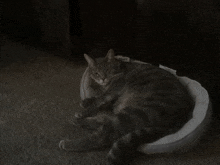 a cat is sleeping in a cat bed that says ruff