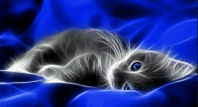 a computer generated image of a cat laying on a blue surface