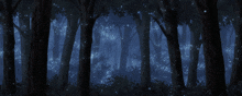 a dark forest with trees and leaves glowing in the dark