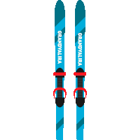 a pair of skis that say grandvalira on the side