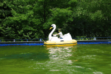 a person riding a swan shaped boat in a pond