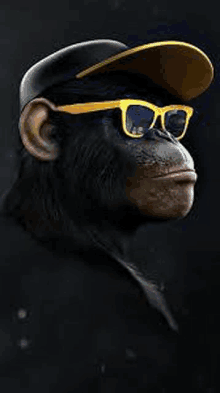 a chimpanzee wearing a hat and sunglasses is looking at the camera .