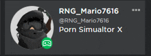 a picture of a person with the name rng_mario7616 on it