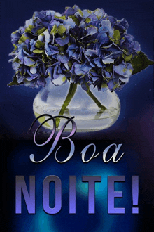 a purple flower in a clear vase with the words boa noite