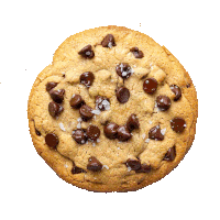 a close up of a chocolate chip cookie with sea salt on top