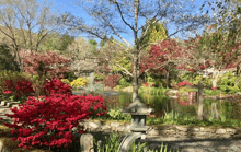 a garden with a pond , trees , flowers and a fountain .