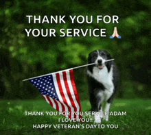 a black and white dog holding an american flag in its mouth with the words thank you for your service