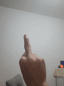 a person 's middle finger is shown in a living room