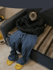 a cat is sitting on a couch wearing jeans and a jacket