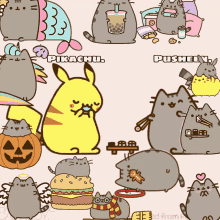 a collection of cartoon cats with pikachu and pusheen