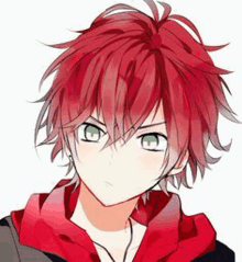 a boy with red hair and green eyes is wearing a red jacket .