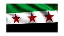 the flag of syria has three red stars on it