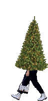 a person is walking with a christmas tree in front of their head