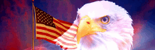 a bald eagle stands in front of a flag