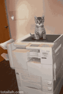 a kitten sits on top of a copier with the website totalleh.com below it