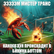 a picture of a lobster on a soccer field with a soccer player in the background