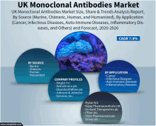 uk monoclonal antibodies market size share & trends analysis report by source